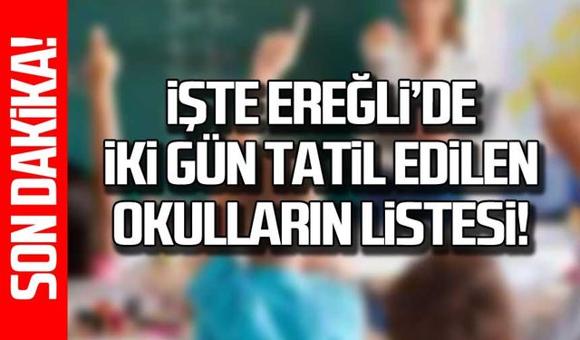 23 24 Kasım'da Kdz. Ereğli'de tatil edilen okulların listesi!