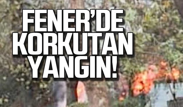 Zonguldak Fener'de yangın!