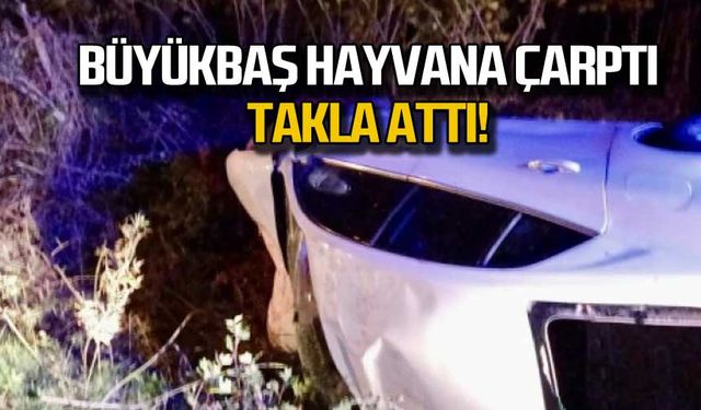 Büyükbaş hayvana çarptı, takla attı!