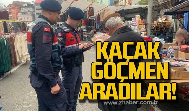 Kaçak göçmen aradılar!