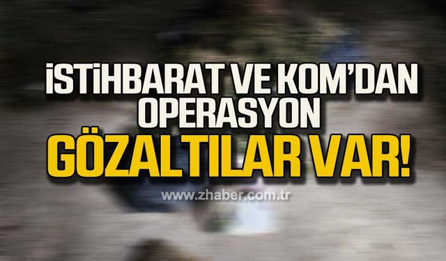 Karabük'te kenevir operasyonu!