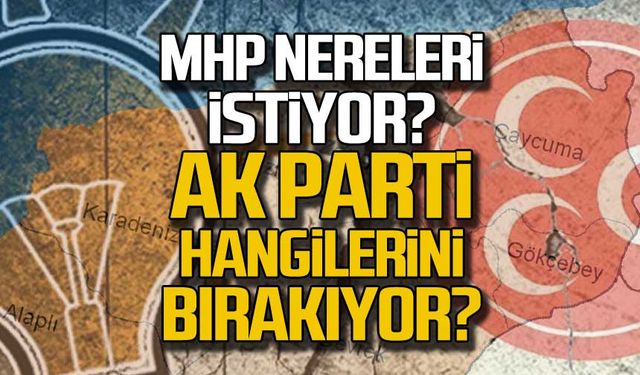 MHP Zonguldak'ta nereleri istiyor, Ak Parti hangilerini bırakıyor?