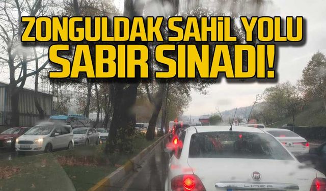Zonguldak Milli Egemenlik Caddesi sabır sınadı!