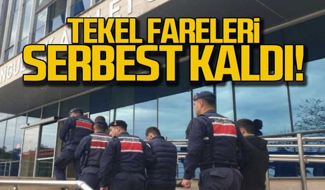 Tekel fareleri serbest bırakıldı!