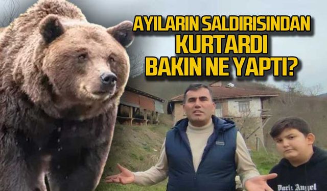 Ayıların saldırısından kurtardı! Bakın ne yaptı?