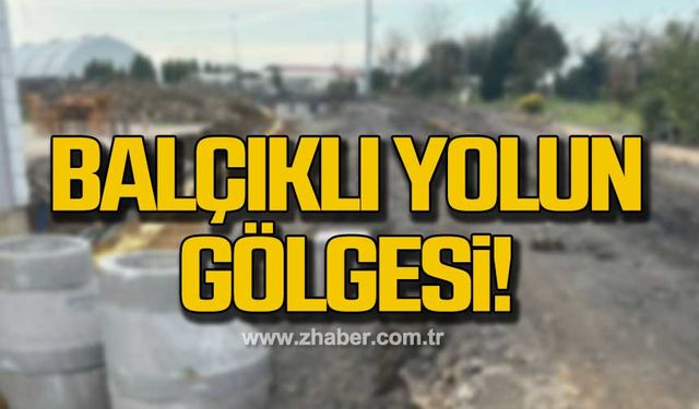 CHP Kozlu İlçe Başkanı Merve Arslan ulaşım sorununa dikkat çekti!