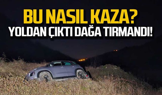 Bu nasıl kaza! Yoldan çıktı dağa tırmandı!