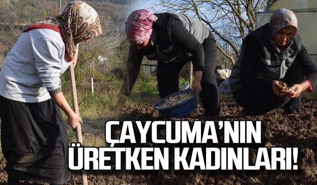 Çaycuma'nın üretken kadınları!