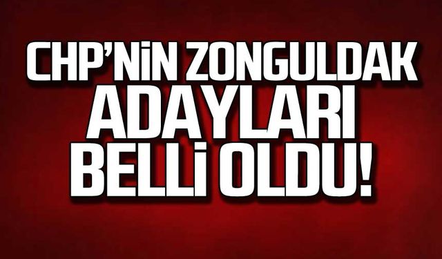 CHP'nin Ereğli, Kozlu, Beycuma ve Ormanlı adayları kesinleşti!