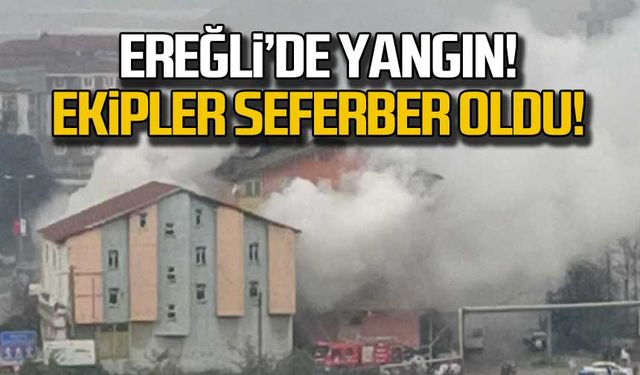 Kdz. Ereğli'de yangın! Ekipler seferber oldu!