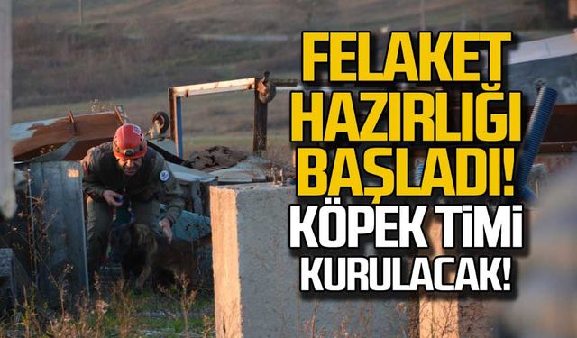 Felaket hazırlığı başladı! Köpek timi kurulacak!