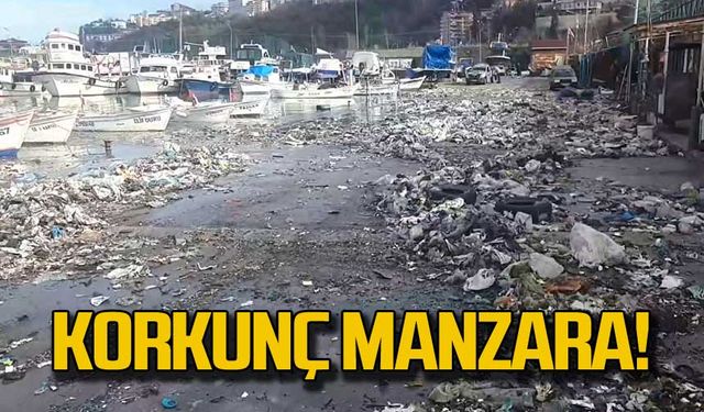 Kozlu Limanı'nda korkunç manzara!