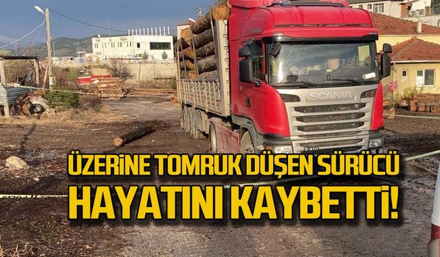 Üzerine tomruk düşen sürücü hayatını kaybetti!