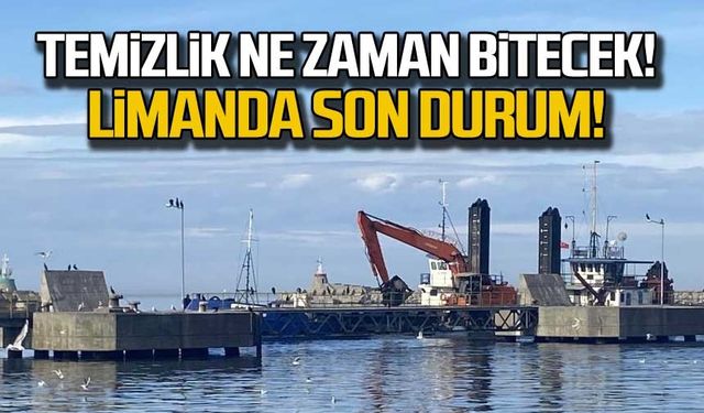 Zonguldak'ta temizlik ne zaman bitecek? Limanda son durum