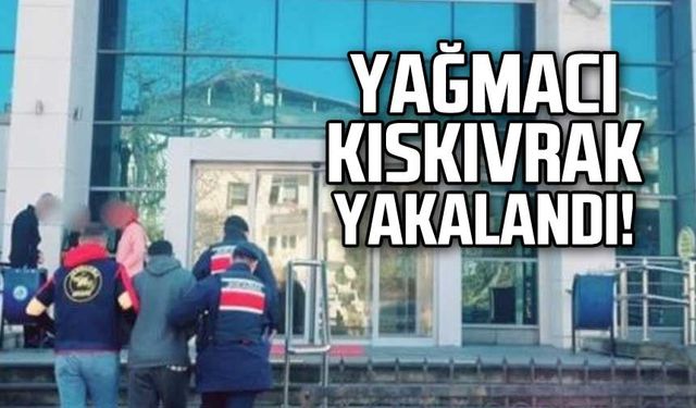 Zonguldaklı yağmacı kıskıvrak yakalandı!