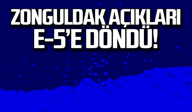 Zonguldak açıkları E-5'e döndü!