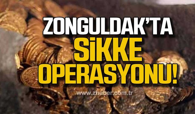 Kdz. Ereğli'de sikke operasyonu!