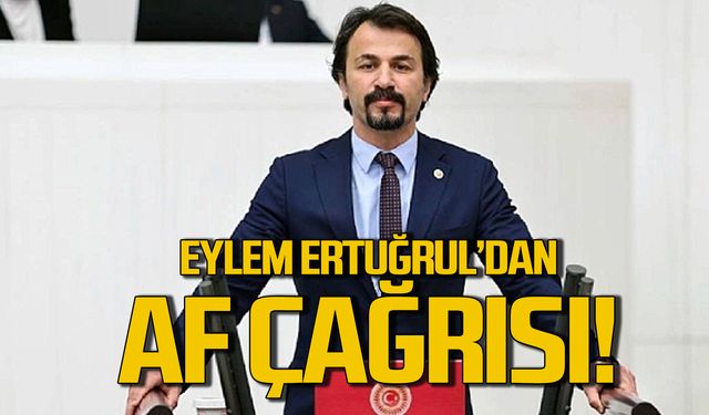 Eylem Ertuğrul'dan ehliyet affı çağrısı!