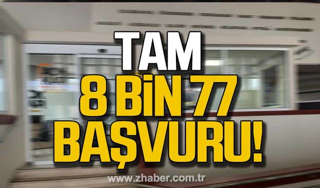 2023'te 8 bin 77 başvuru yapıldı!