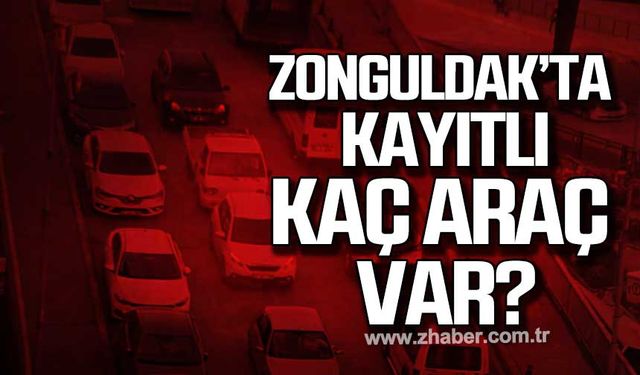 Zonguldak'ta kayıtlı kaç araç var?