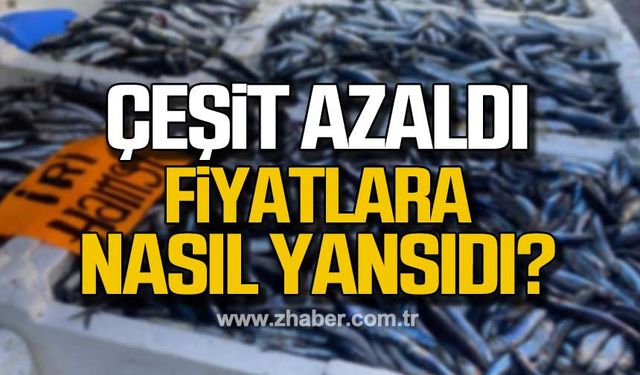 Balık çeşitlerinde azalma yaşandı!