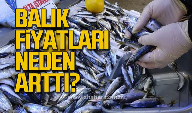 Balık fiyatları neden arttı?