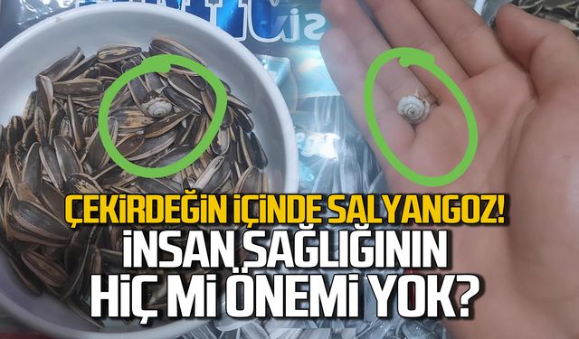 Bu kadarı da olmaz! Çekirdeğin içinden salyangoz çıktı!