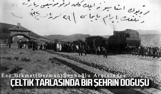 Çeltik tarlasında bir şehrin doğuşu