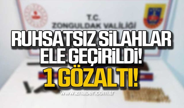 Ruhsatsız silahlar ele geçirildi! 1 gözaltı!