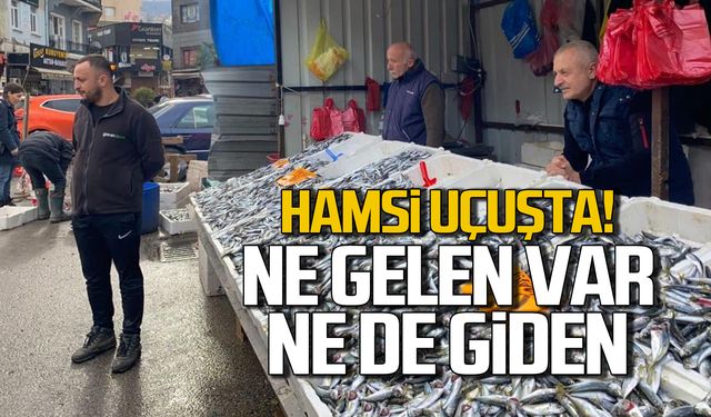 Hamsi uçuşa geçti! Ne gelen var ne giden!