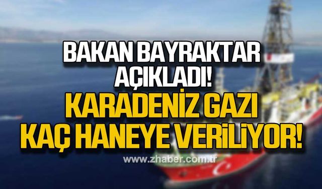 Bakan Bayraktar: Doğalgaza erişebilen nüfus 1,1 milyon arttı!