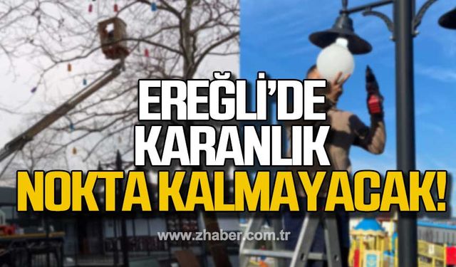 Kdz. Ereğli'de karanlık nokta kalmayacak!