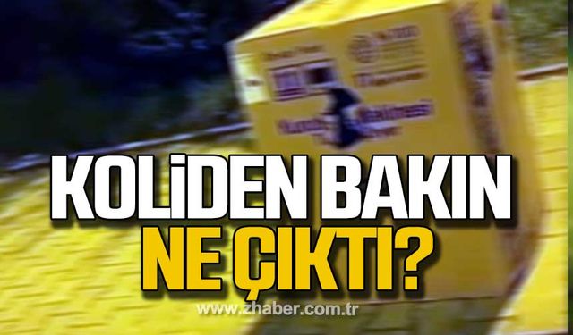 Koliden bakın ne çıktı?