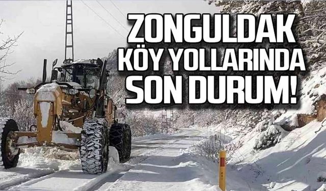 Ekipler teyakkuzda! Köy yollarında son durum!