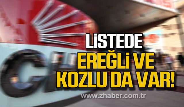 Listede Kdz. Ereğli ve Kozlu da var!