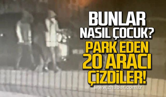 Park eden 20 aracı çizdiler! Bunlar nasıl çocuk?