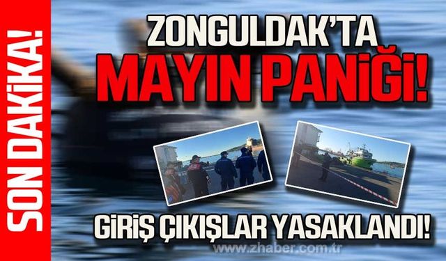 Kdz. Ereğli'de mayın paniği!