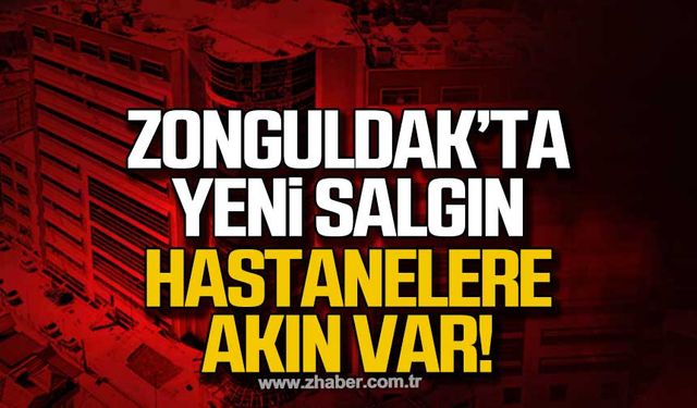 Zonguldak’ta domuz gribi salgını patlama yaptı!