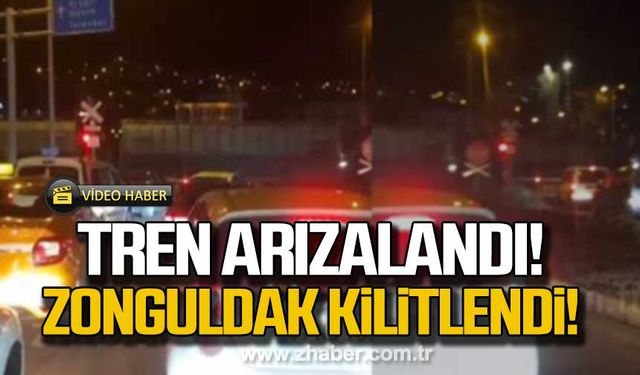 Tren arızalandı Zonguldak kilitlendi!