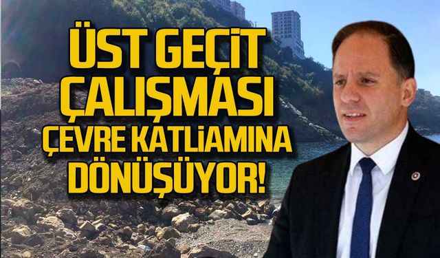 Üst geçit çalışması çevre katliamına dönüşüyor!