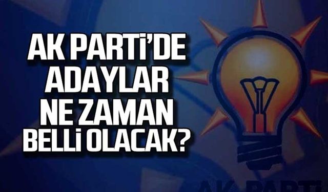 Genel Başkan Yardımcısı duyurdu! Zonguldak'ın adayı o tarihte belli olacak!