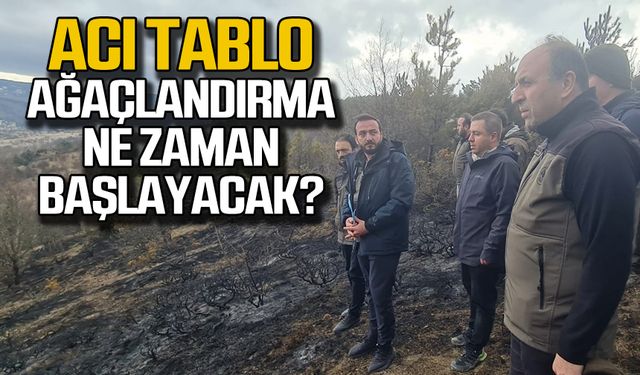 Bayraktaroğlu yangın bölgesinde! Ağaçlandırma çalışmaları başlıyor!