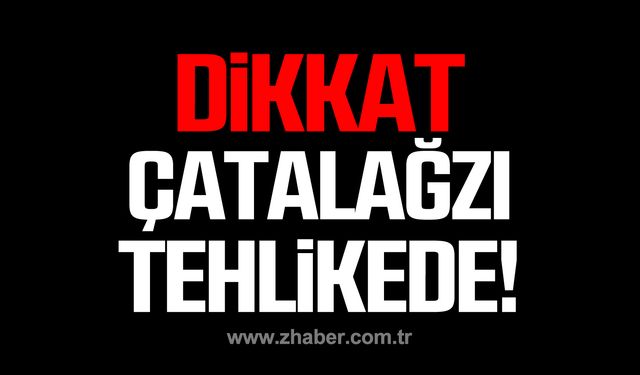 Dikkat! Zonguldak Çatalağzı tehlikede!