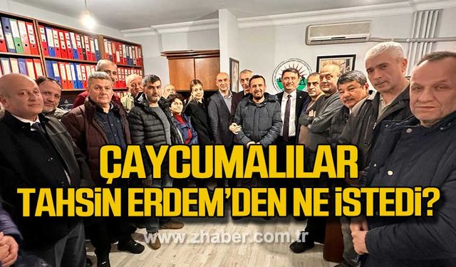 Çaycumalılar Tahsin Erdem'den ne istedi?