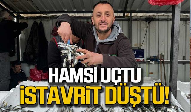 Zonguldak'ta hamsi uçtu istavrit düştü