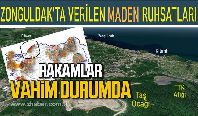 Hayati Yılmaz Zonguldak'ta verilen maden ruhsatlarını yazdı