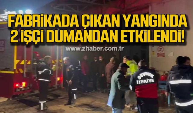 Zonguldak'ta fabrikada çıkan yangında 2 işçi dumandan etkilendi!