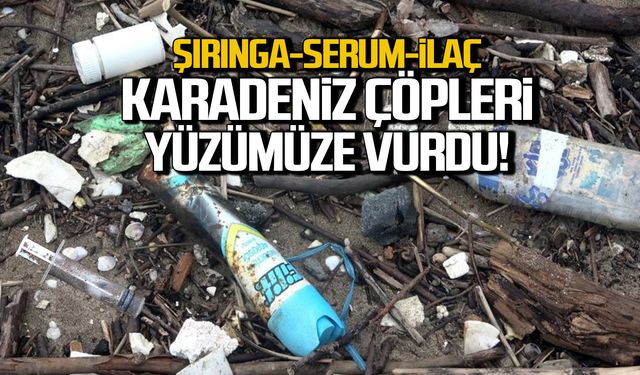 Karadeniz kirliliğini yüzümüze vurdu! Sahil çöplüğe döndü!