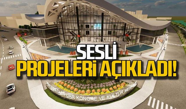 Sesli, Kongre Fuar, toplantı ve düğün salonu projesini açıkladı