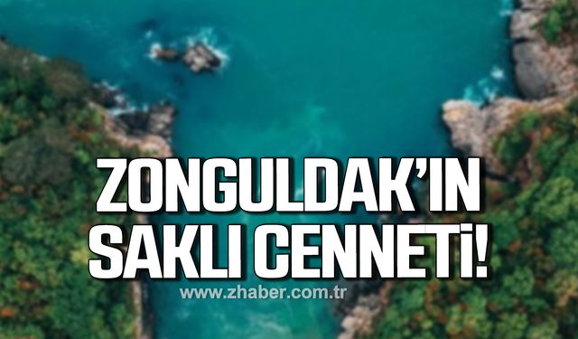 Yılmaz; "Zonguldak'taki Danaağzı sahili, Büyük Oksinas sahillerinden biri"